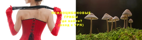 марихуана Белокуриха